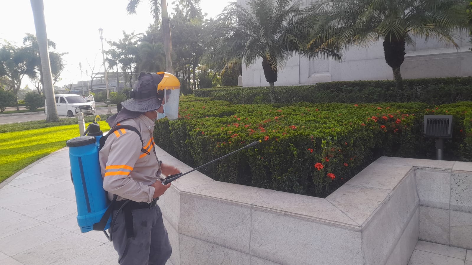 jardin 4